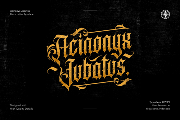 Acinonyx Jubatus Font for Bold Web Design