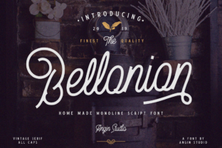 Bellonion: A Modern Script Font for Web Design