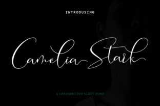 Camelia Stark: A Modern Script Font for Web Design