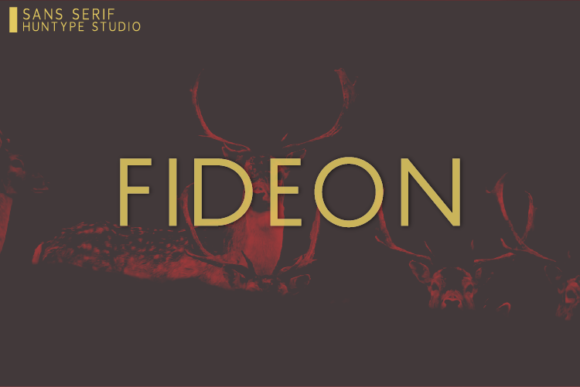 Fideon: A Modern Sans Serif Font for Campaign Creativity