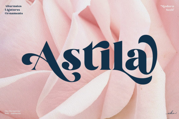 How Astila Transformed My Brand’s Visual Identity