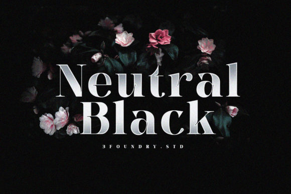 How Neutral Black Transformed My Brand’s Visual Identity