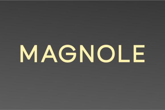 Magnole: A Modern Sans Serif Font for Editorial Design