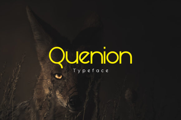 Quenion: A Modern Sans Serif Font for Editorial Design