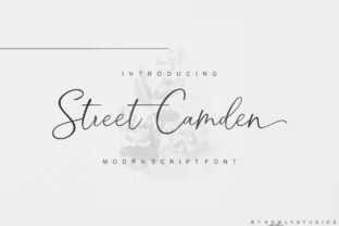 Street Camden: A Modern Script Font for Campaign Creativity