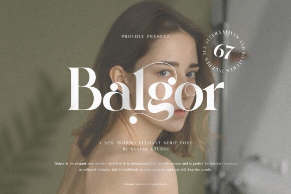Testing Balgor for a Modern Web Design Project