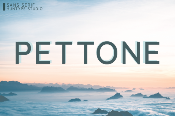 Testing Pettone in a Modern Web Design Project